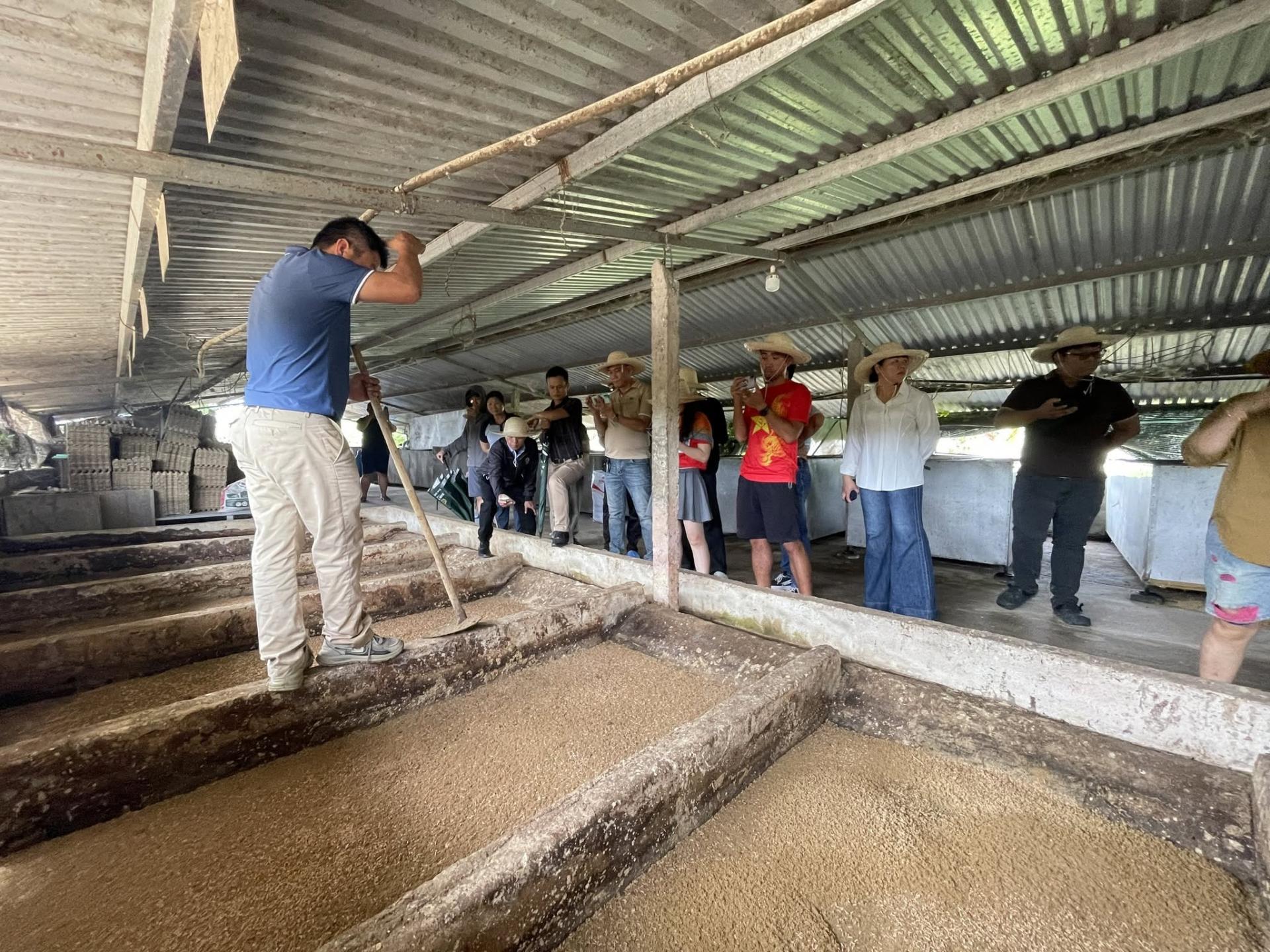 san-viet-farm-7_1785902109.jpg