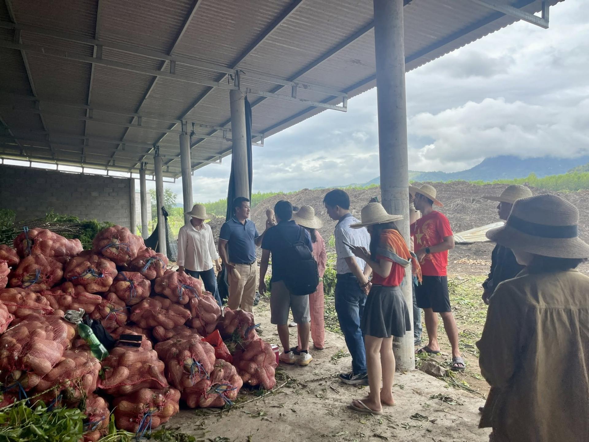 san-viet-farm-8_1785902102.jpg