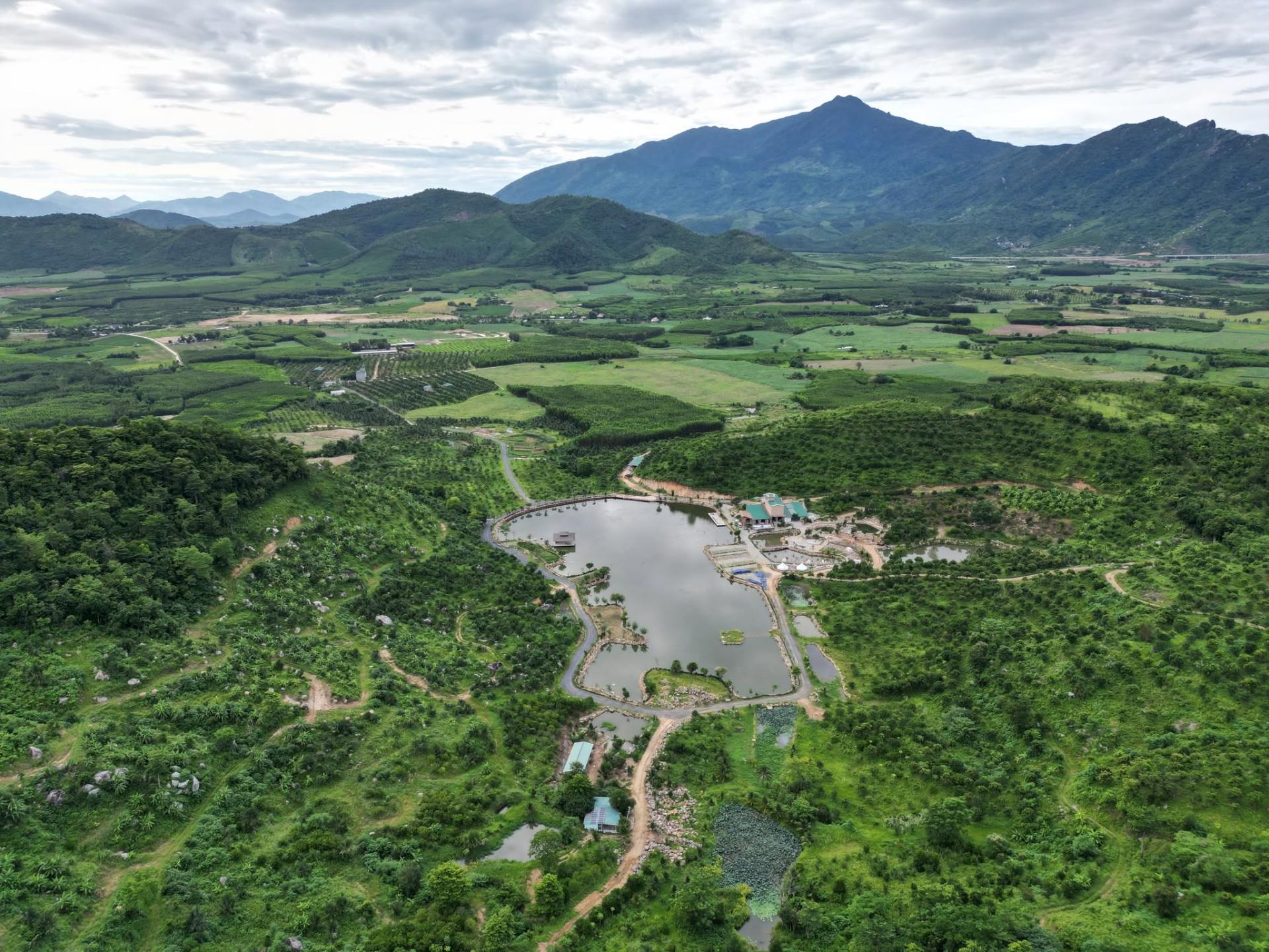 san-viet-farm-9_1785902102.jpg