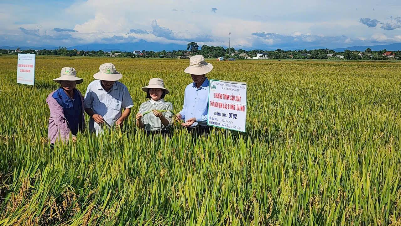 Quảng Trị: Tham gia chuỗi giá trị nông sản xanh,  hướng tới thị trường tín chỉ carbon