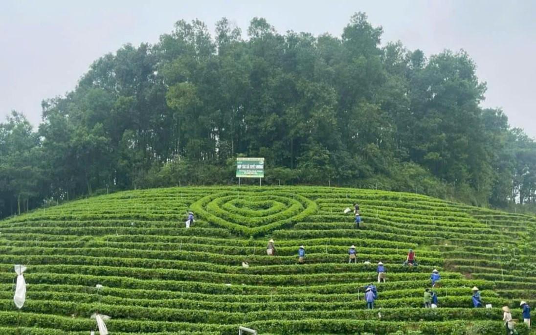 Sản phẩm nông nghiệp tiêu biểu tỉnh Thái Nguyên