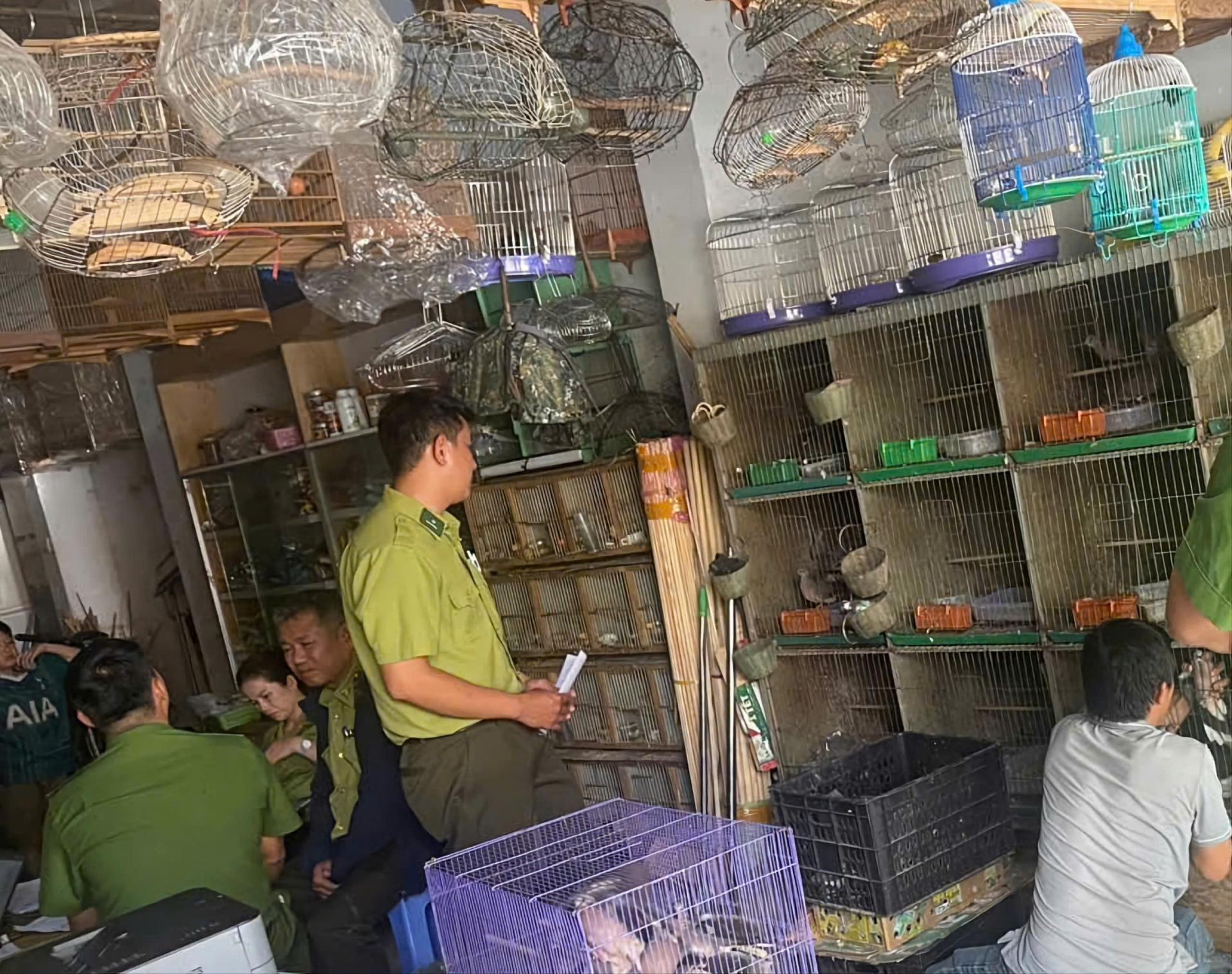 Quảng Ngãi: Phát hiện nhiều cơ sở nuôi nhốt động vật hoang dã trái phép