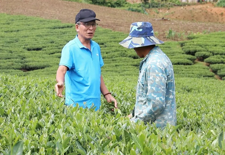 Bước chuyển mạnh trong giảm nghèo bền vững ở Sơn La