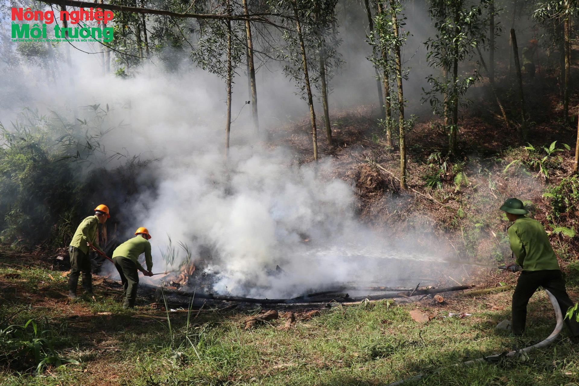 anh-17---thuc-hanh-chua-chay-rung-3_1770460139.jpg