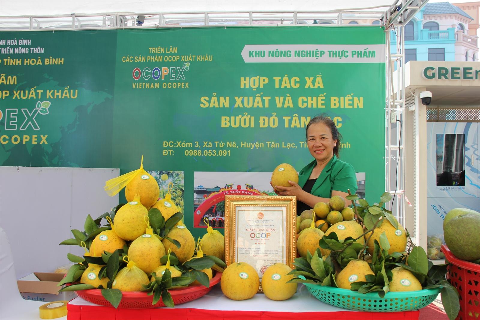 hoa-binh-3_1775553977.jfif