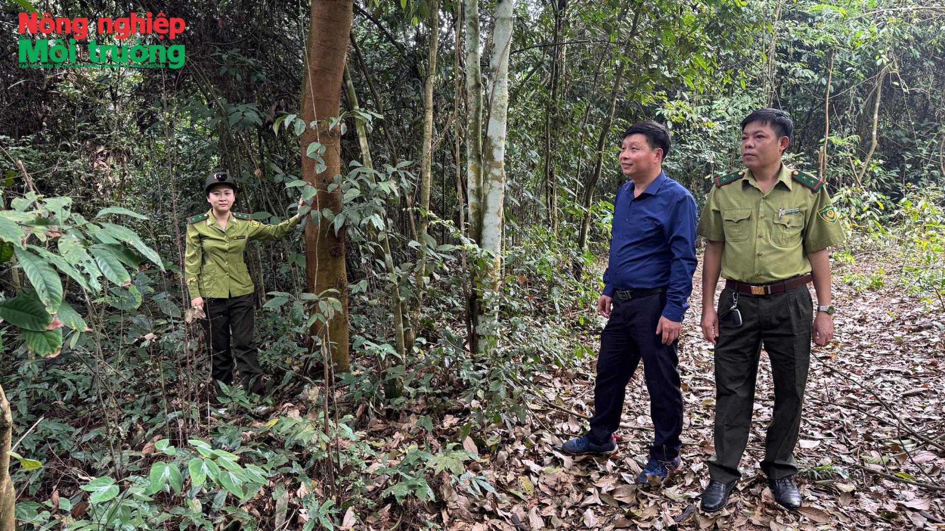 anh-1---kiem-tra-hien-trang-r_1778118432.jpg