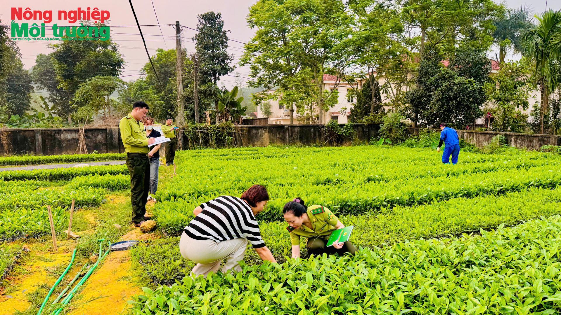 anh-3---kiem-tra-cay-giong_1778118434.jpg