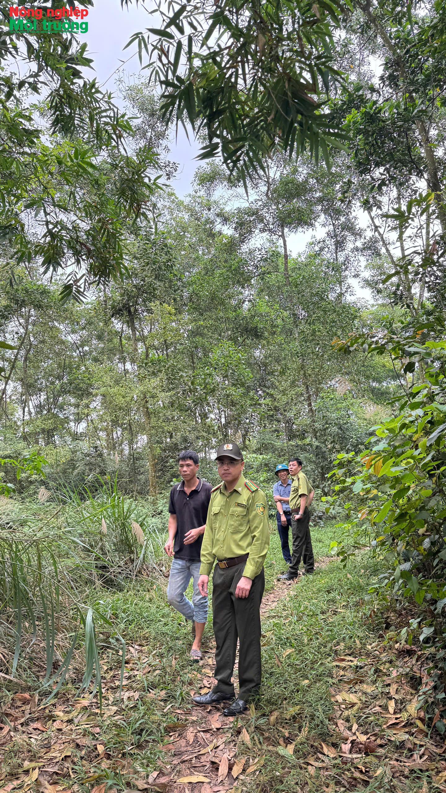 anh-4---kiem-tra-rung-trong_1778118435.jpg