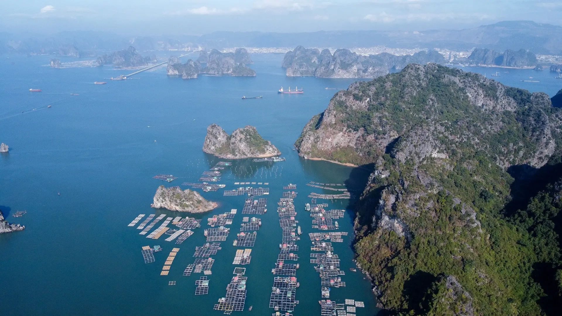 khu-be-ca-dao-ong-cu-qn-7-1578629497013_1786094773.webp