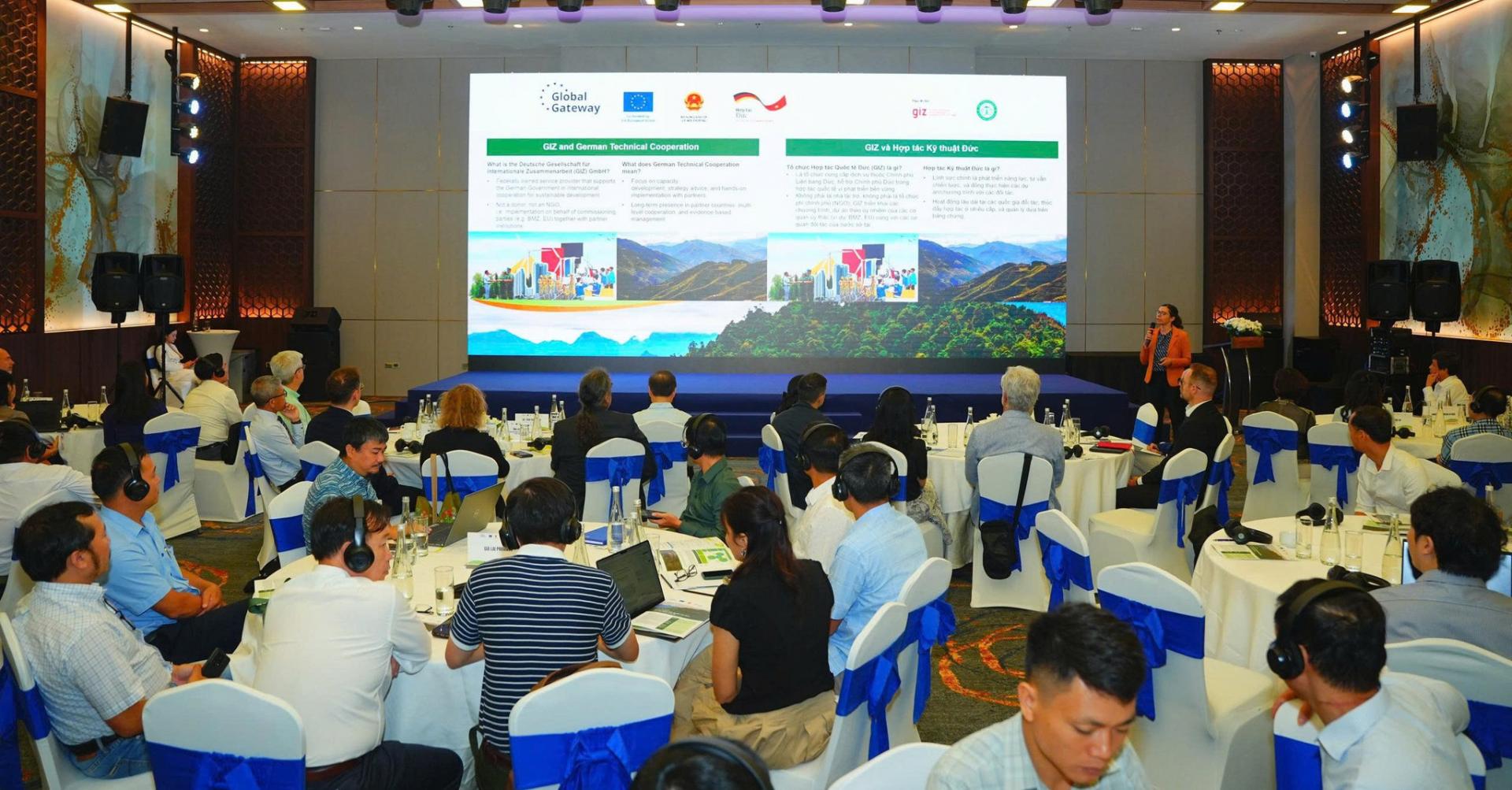 toan-canh_1786103920.jpg