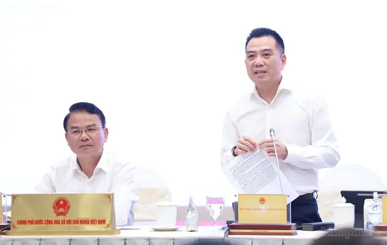Sầu riêng Việt Nam: Đi xa không chỉ bằng sản lượng