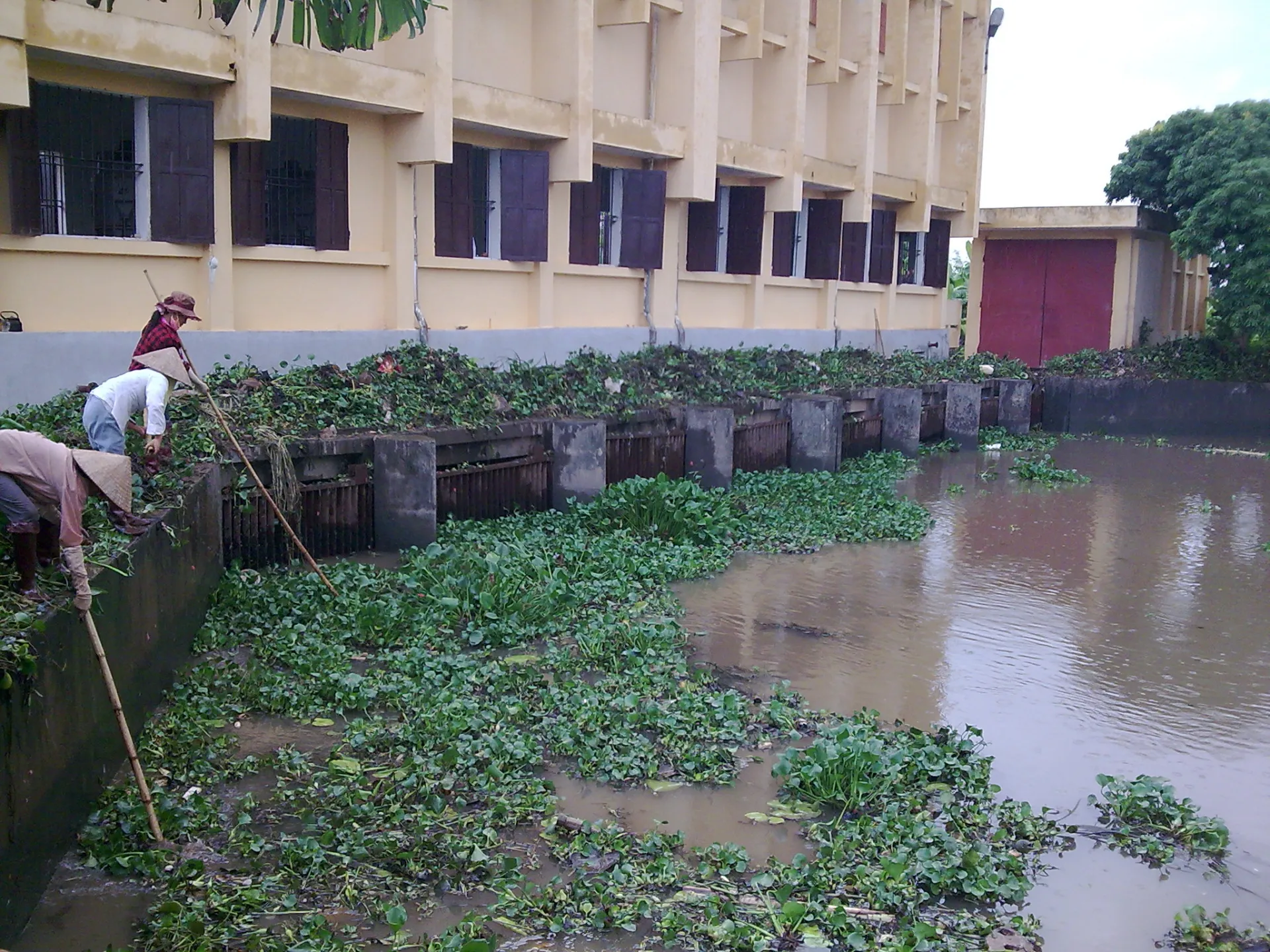 Bài 9: Thủy lợi Bắc Thái Bình trước thách thức biến đổi khí hậu và yêu cầu đổi mới cơ chế giá dịch vụ