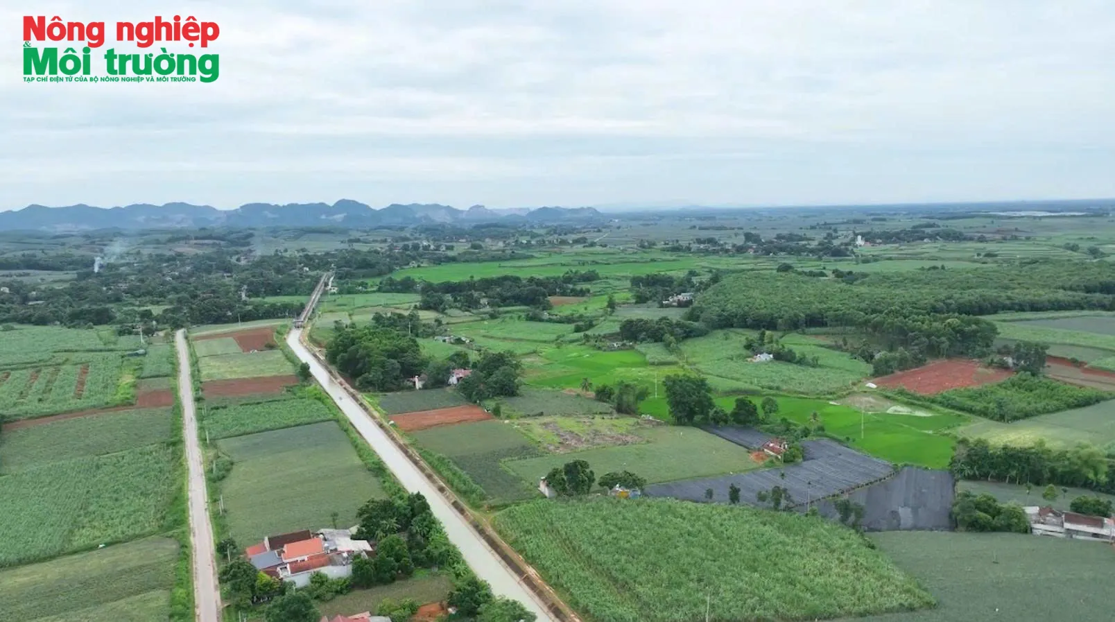 Tiếp tục miễn thuế sử dụng đất nông nghiệp đến năm 2030: Những trường hợp được áp dụng từ 1/1/2026