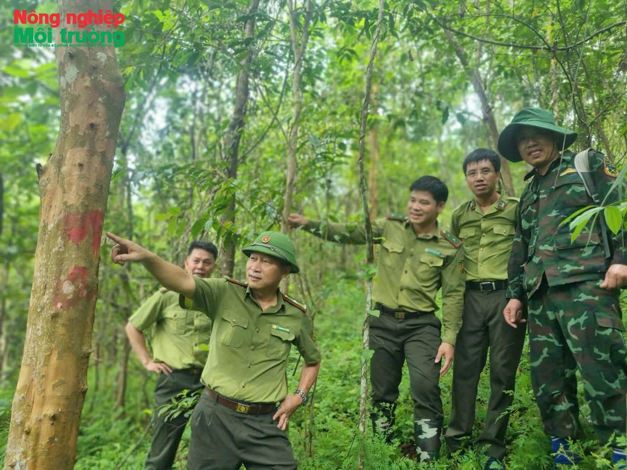 Bài 18: Phát triển rừng để người dân “sống được nhờ rừng, làm giàu từ rừng” ở Kim Bôi