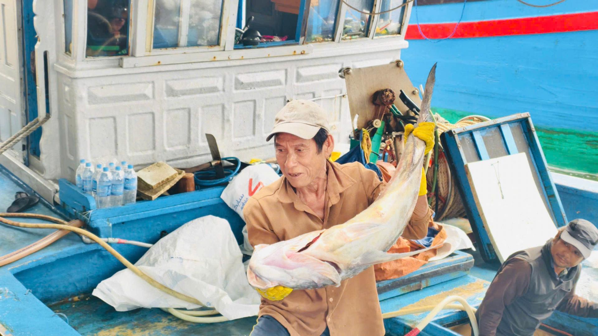 Giá dầu leo thang, ngư dân “cân não” mỗi chuyến ra khơi