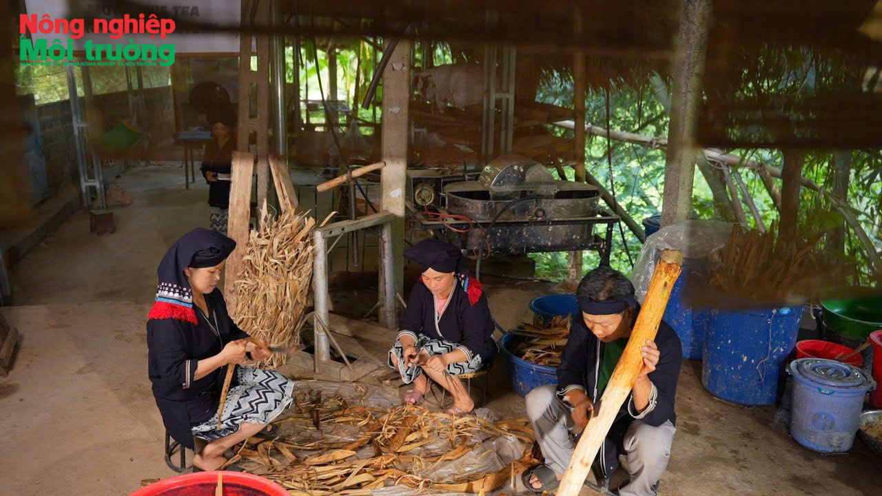 Định hướng phát triển du lịch nông thôn trong xây dựng nông thôn mới giai đoạn 2021 – 2025