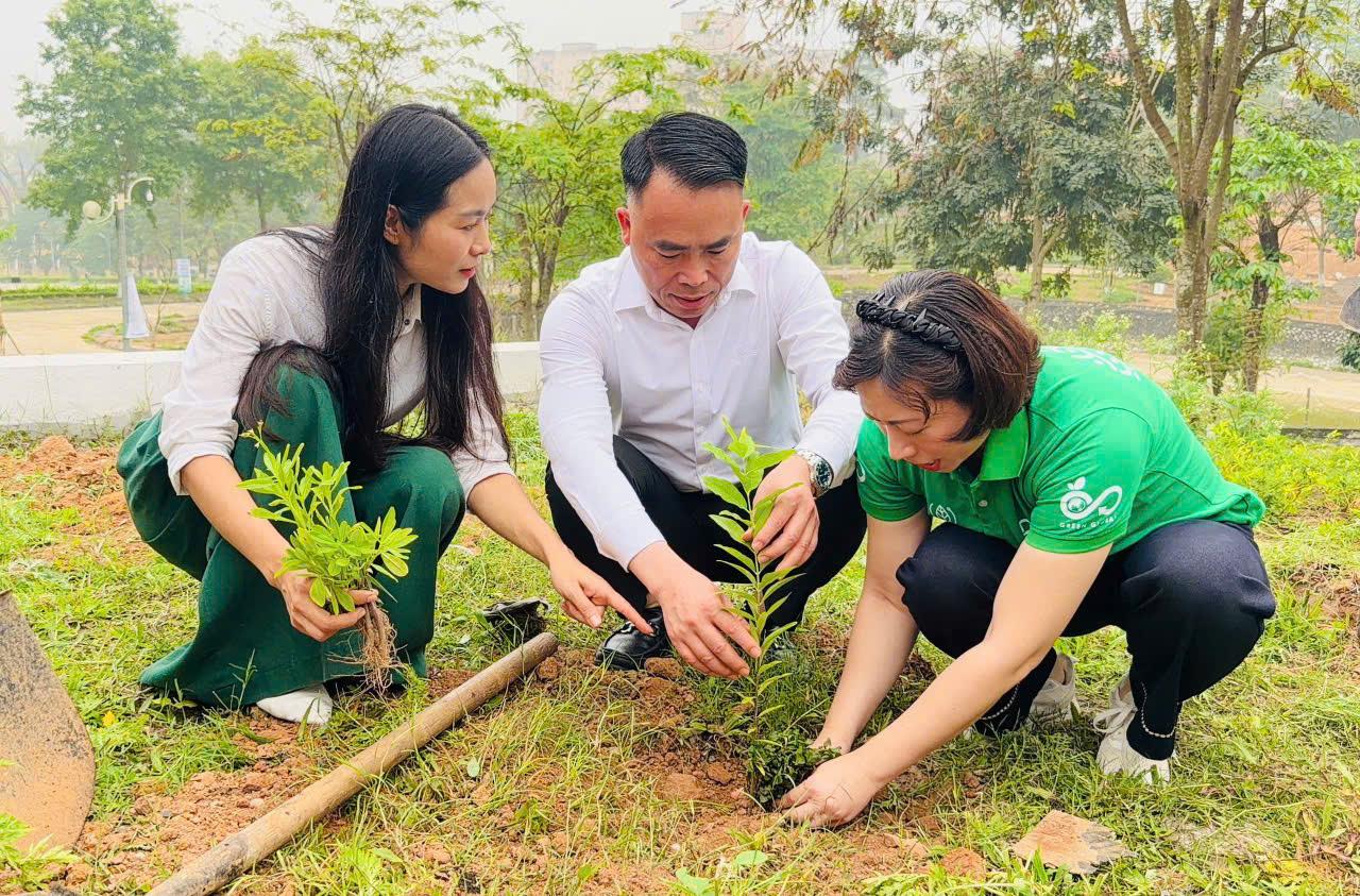 Gieo mầm Trà Việt: Khi những bàn tay cùng vun trồng những giá trị xanh
