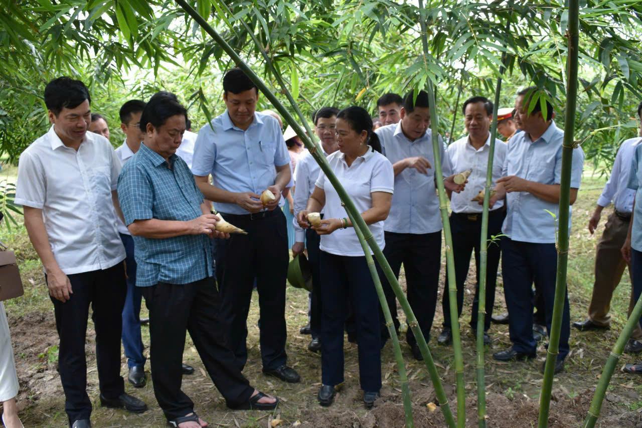 Bắc Giang: Chung sức xây dựng nông thôn mới
