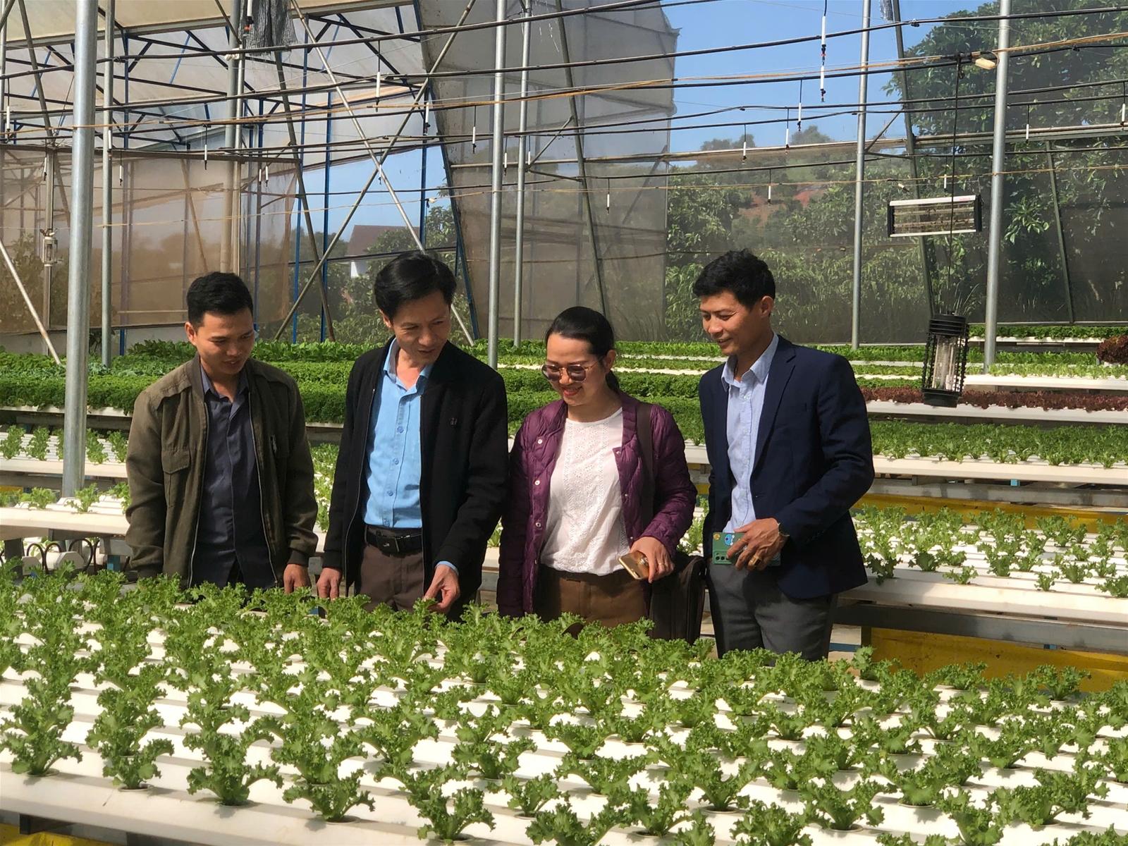 Lâm Đồng: Phấn đấu đến cuối năm 2024 có 100% số xã đạt chuẩn nông thôn mới