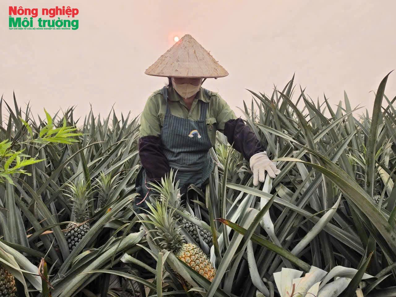 tu-tuong2_1778215938.jpg