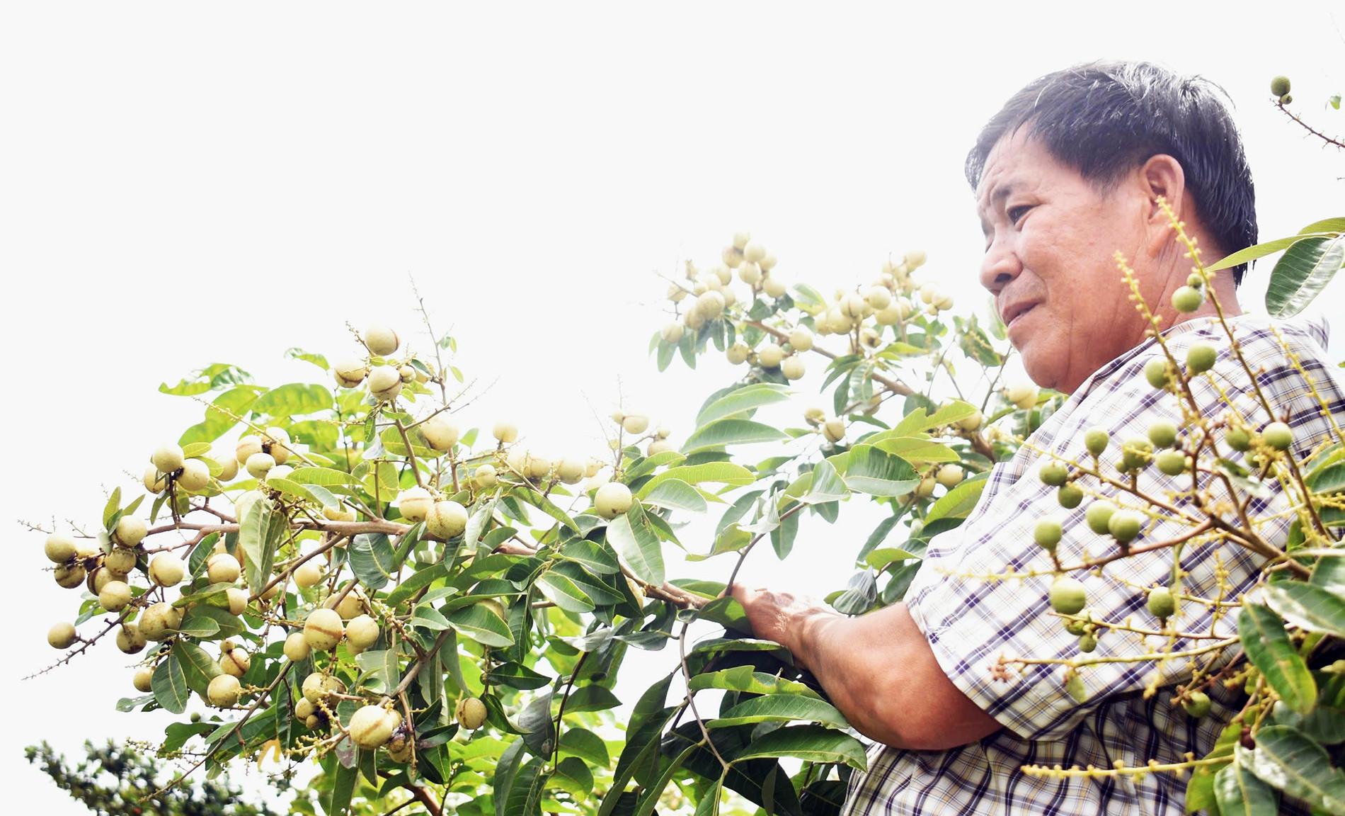 anh-trai-nhan_1780892957.jpg