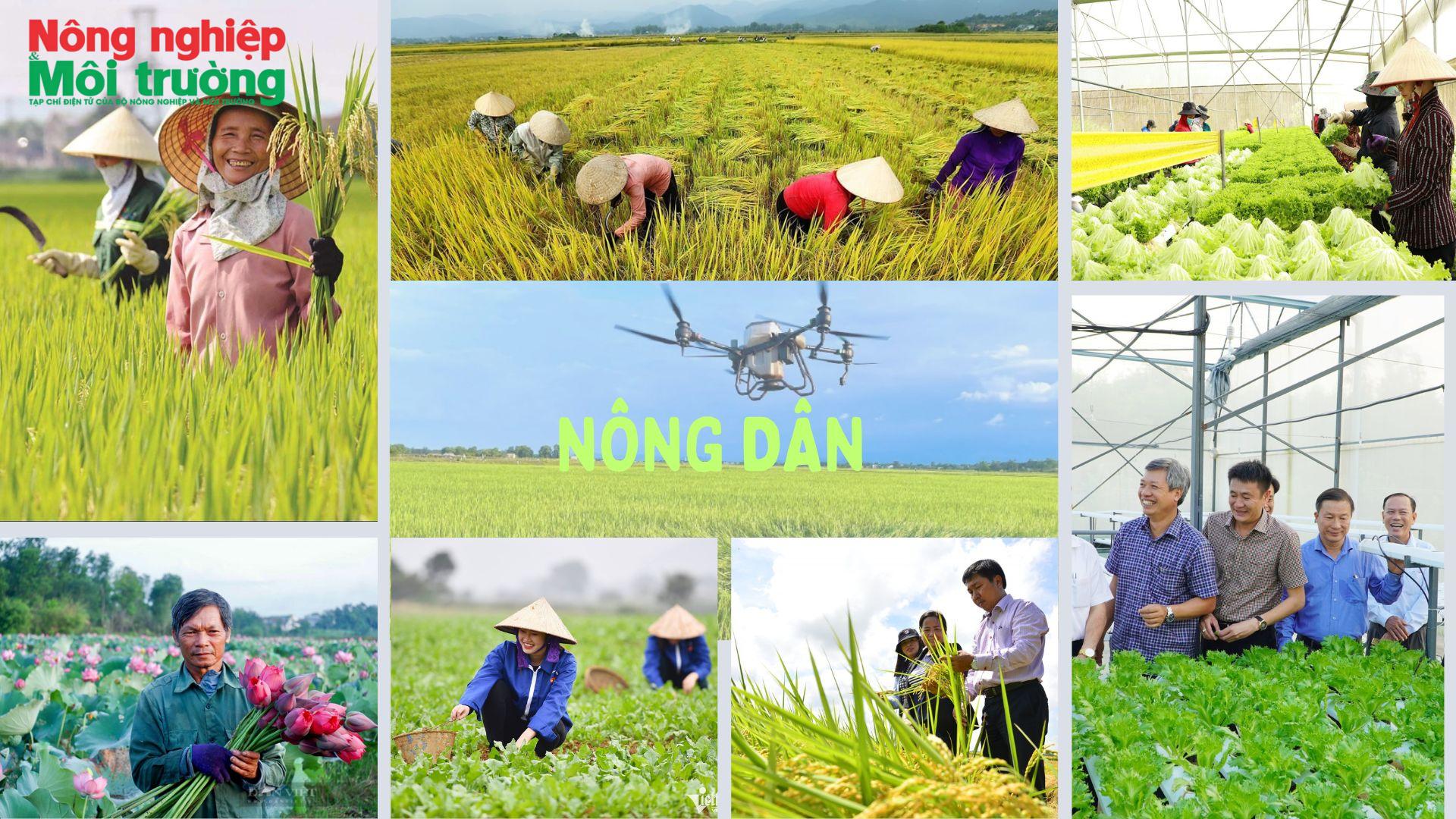 nong-dan_1780910231.jpg