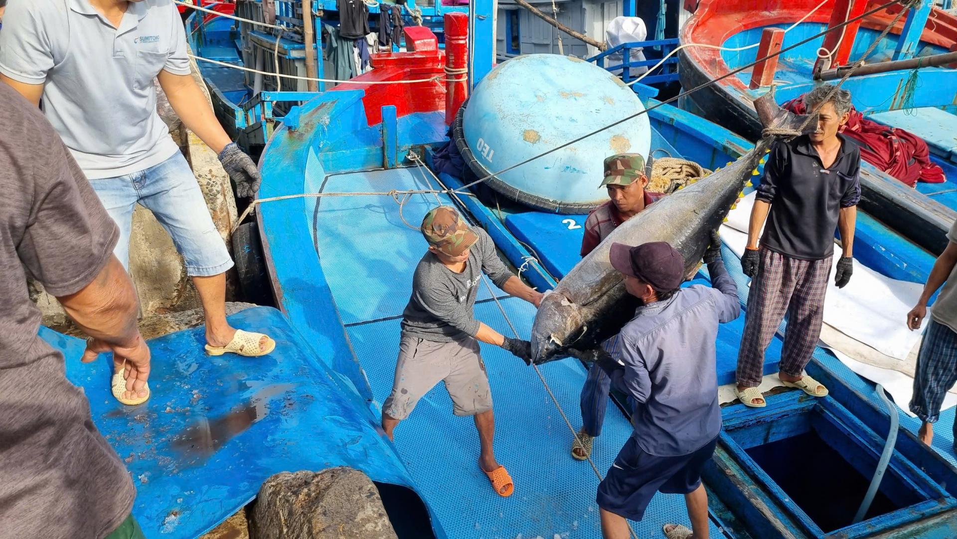 khai-thac-ca-ngu-iuu-2_1788854416.jpg