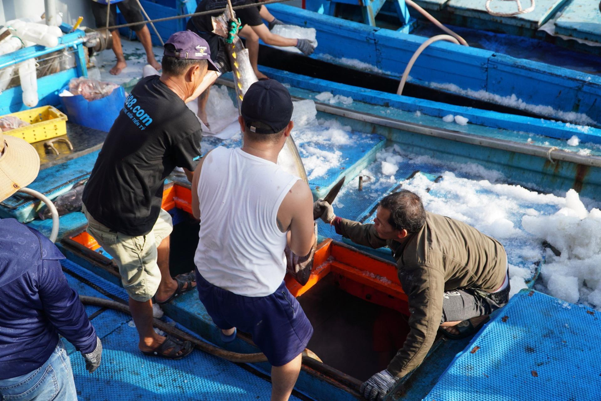 khai-thac-ca-ngu-iuu-3_1788854417.jpg