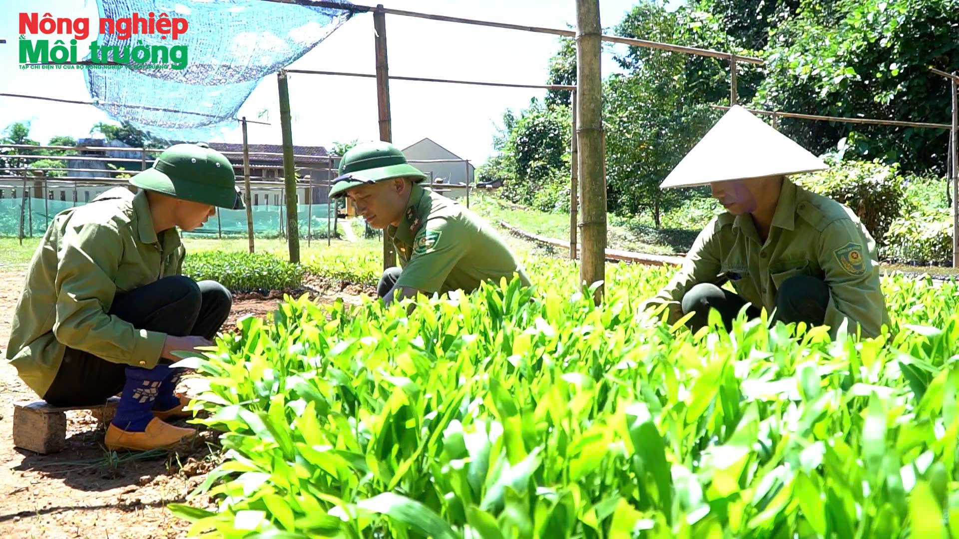 rung-nghe-an_1788859773.jpg