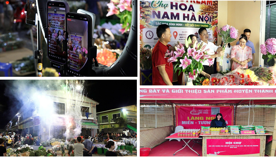 binh-minh-4_1791445179.png