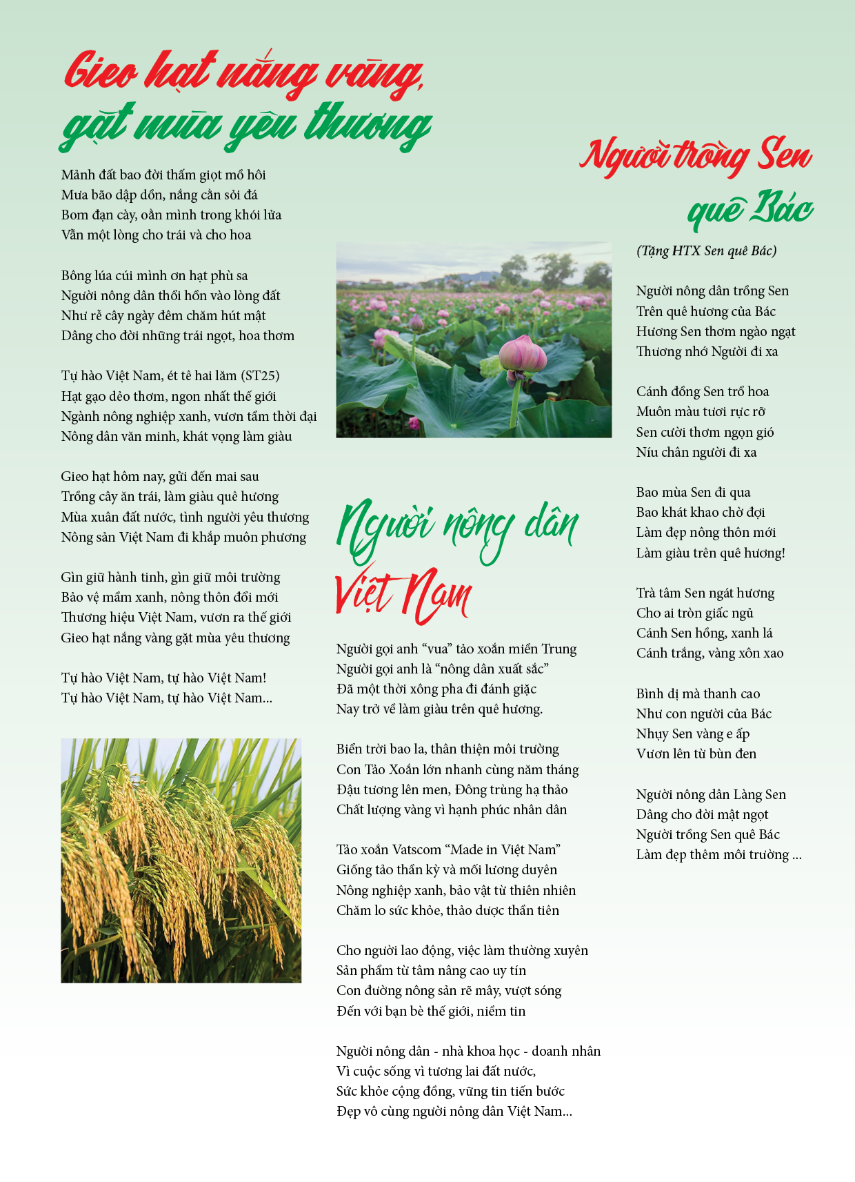 cam-thach-tho_1791425882.png