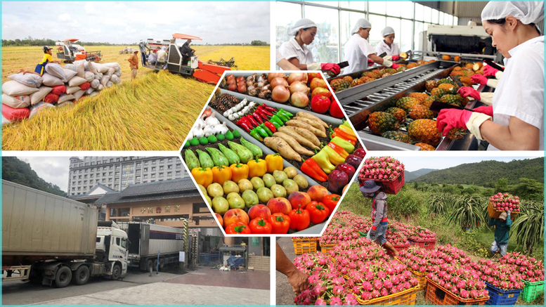 Phát triển vùng nguyên liệu nông, lâm, thủy sản tập trung