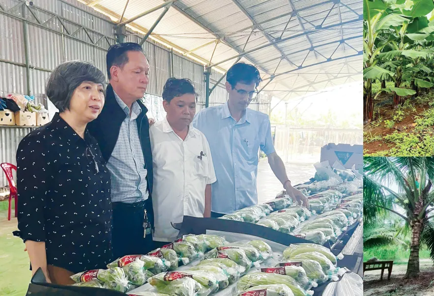 Gia Lai: Phát triển sản xuất nông nghiệp theo hướng hàng hóa, nâng cao chất lượng, giá trị gia tăng