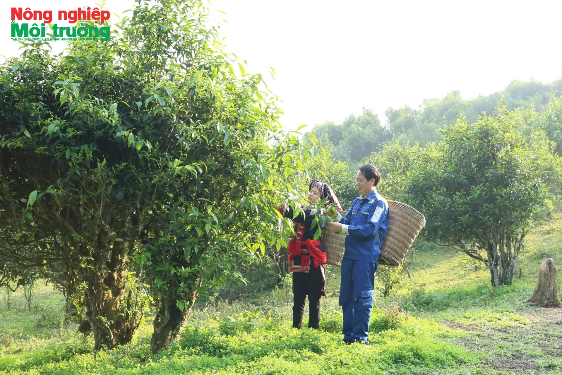 Phát huy vai trò người đứng đầu trong phát triển kinh tế - xã hội tại Hồ Thầu