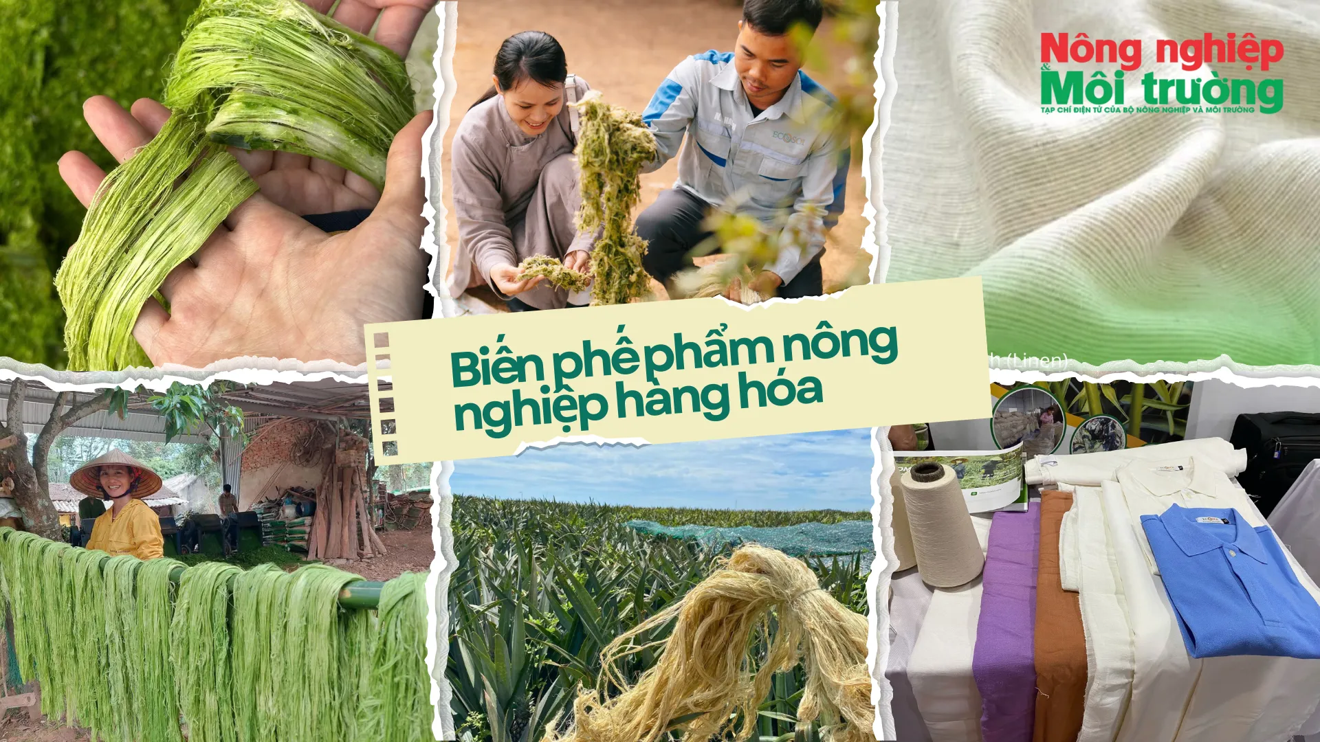 Biến phế phẩm nông nghiệp thành hàng hóa: Hành trình từ chuyển đổi xanh đến chuyển đổi số