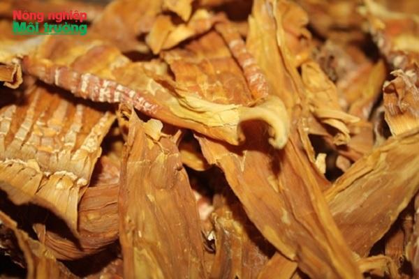 Hiệu quả bước đầu từ mô hình trồng, chế biến măng tre Trinh tại Na Hang