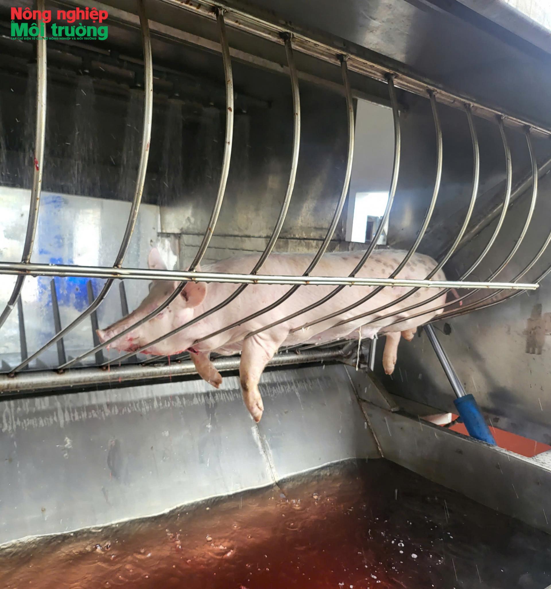 Siết chặt kiểm soát giết mổ: Không để “lọt cửa” vi phạm