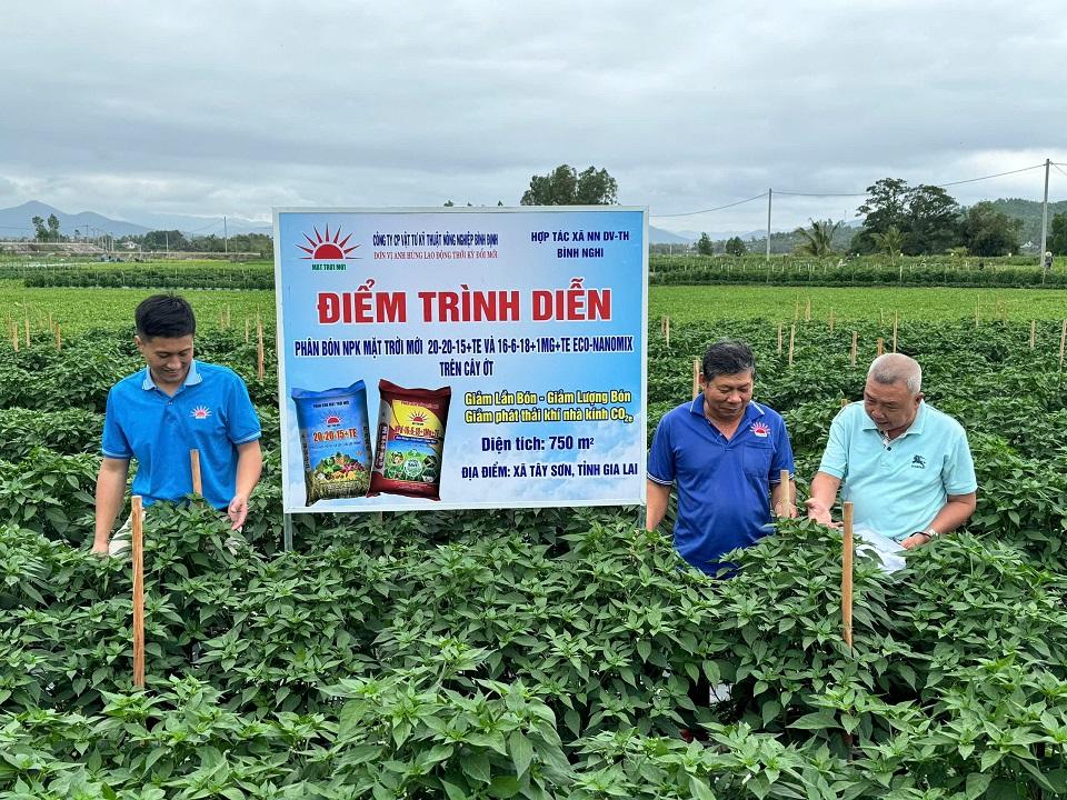 Gia Lai: Mô hình ớt ứng dụng phân bón NPK thế hệ mới cho hiệu quả kinh tế và môi trường vượt trội