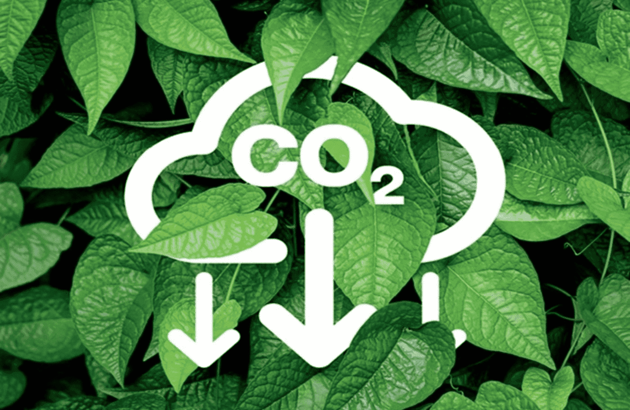 co2_1783606031.png