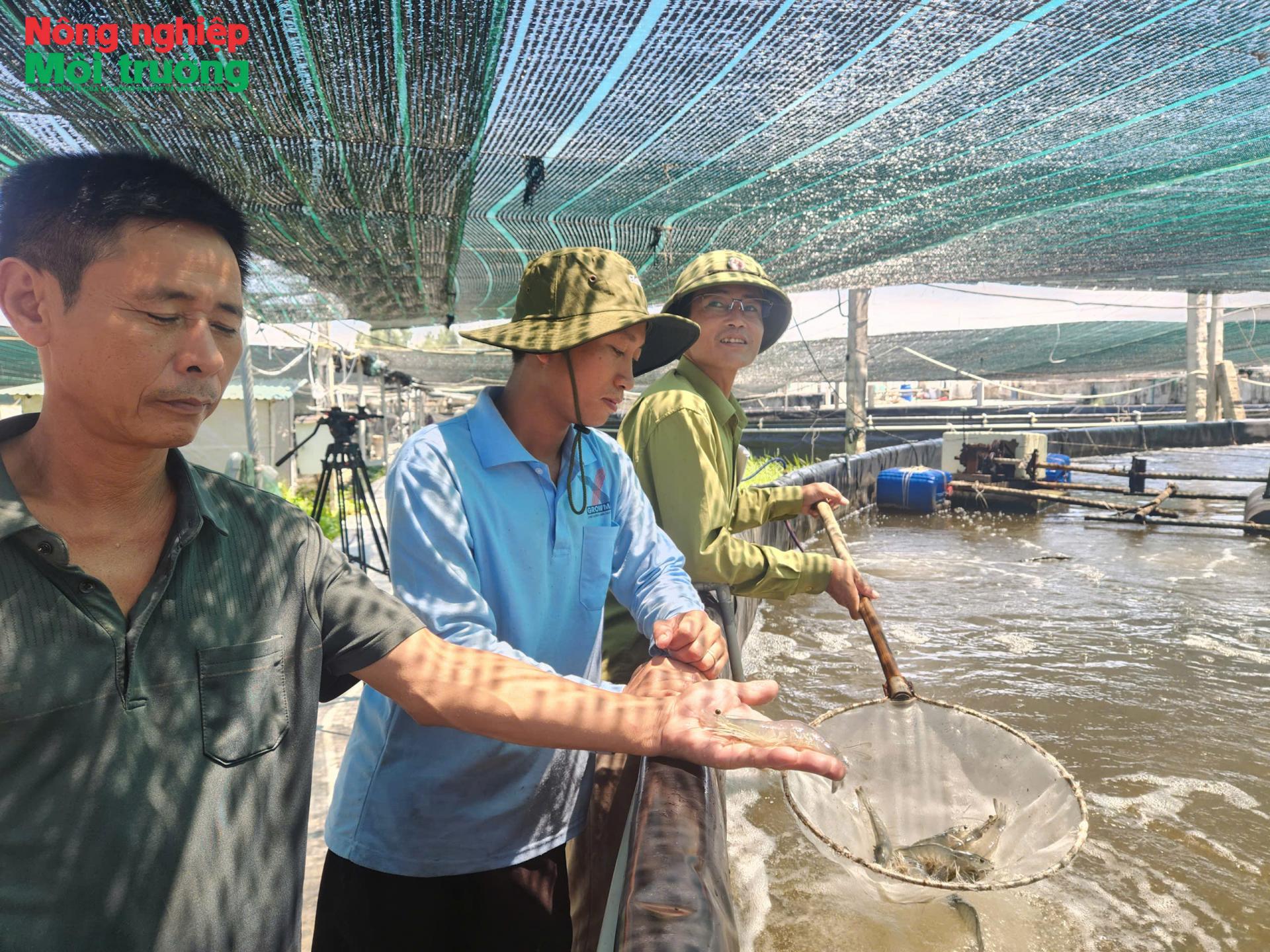 nong-dan-vn-xuat-sac_1788956025.jpg