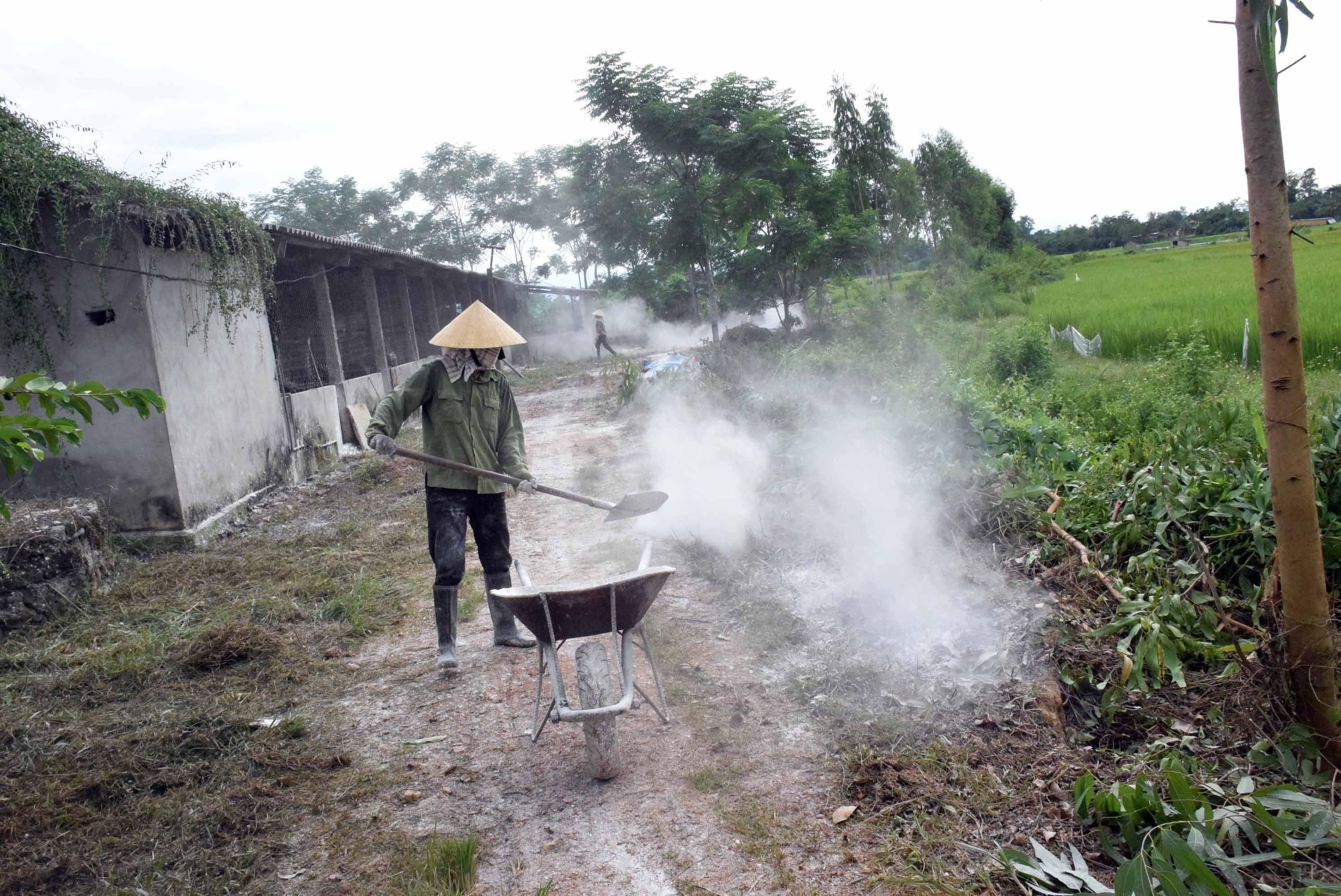 Nghệ An: Tăng cường xử lý môi trường trong chăn nuôi sau mưa lũ