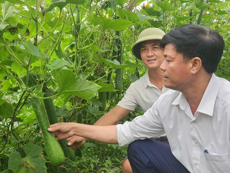 Nghệ An: Tăng cường ứng dụng các tiến bộ khoa học kỹ thuật vào sản xuất vụ Đông 2025
