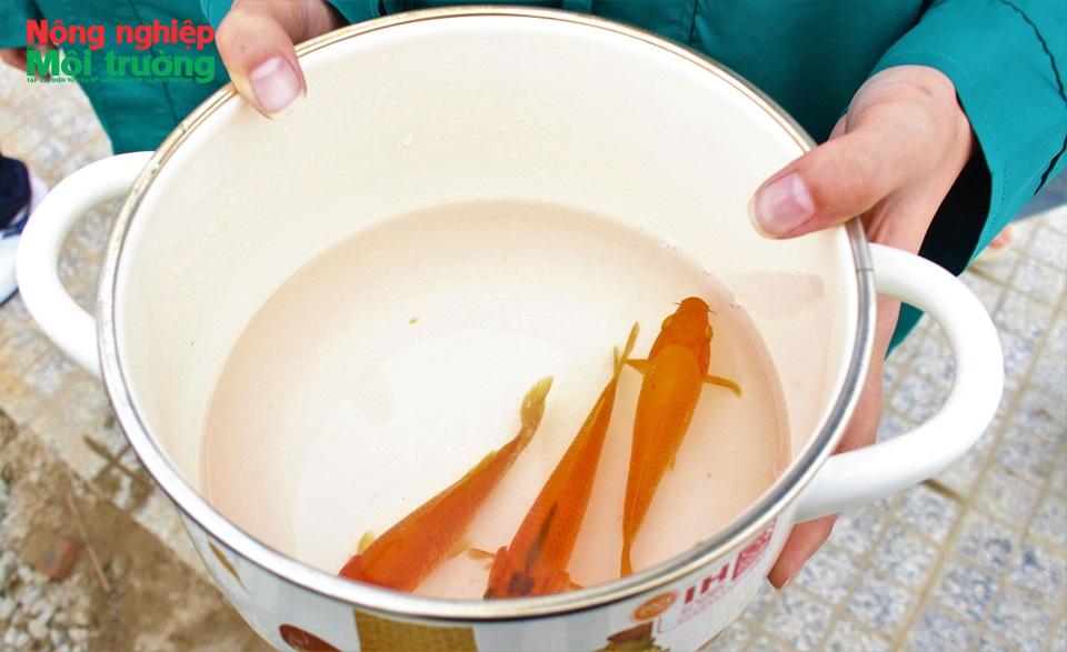 Từ tục lệ tiễn Táo quân đến hành động bảo vệ môi trường