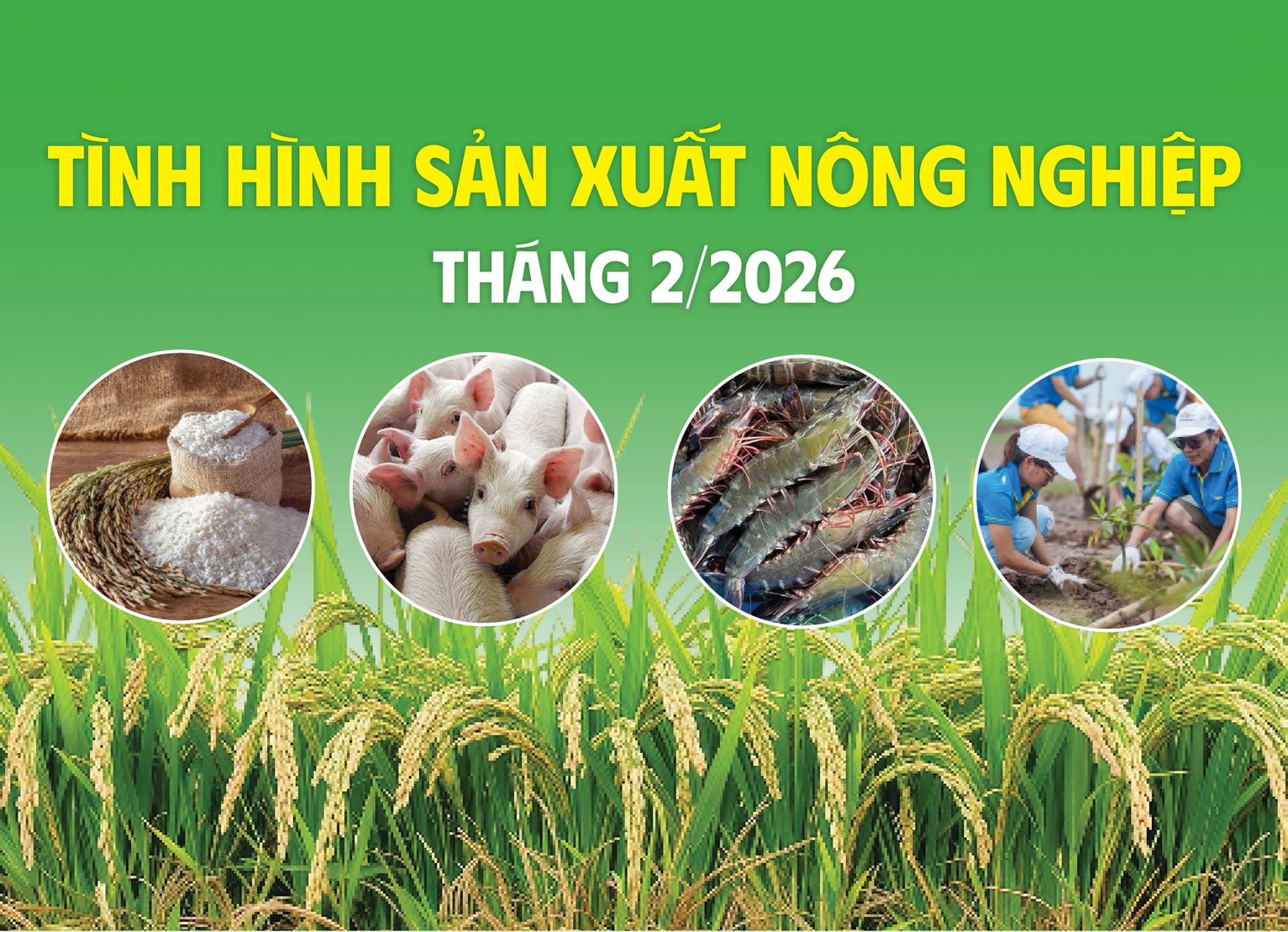 Tháng 2/2026, lĩnh vực nông - lâm - thủy sản đạt được nhiều kết quả tích cực