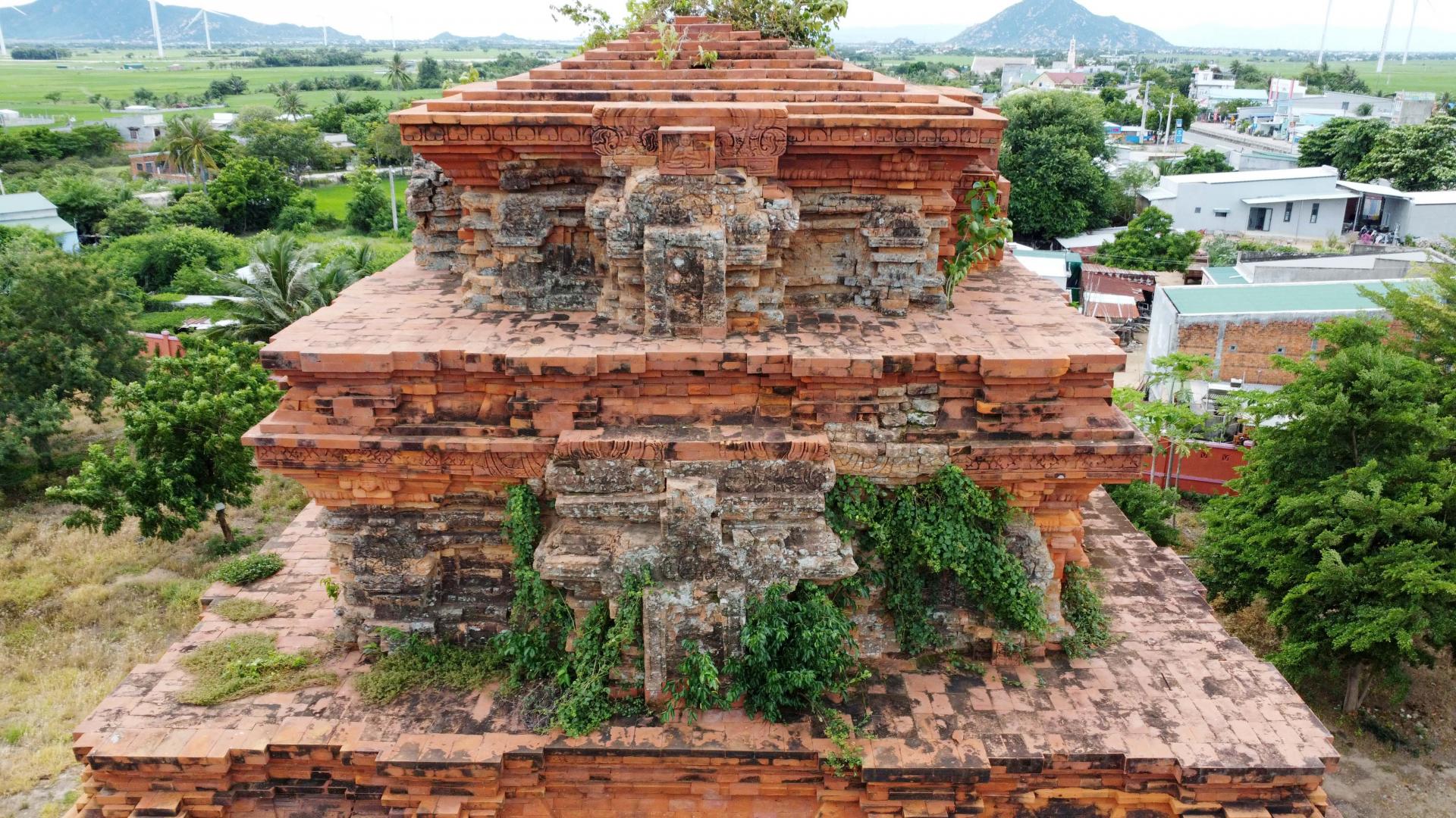 thap-hoa-lai-10_1781052376.jpg