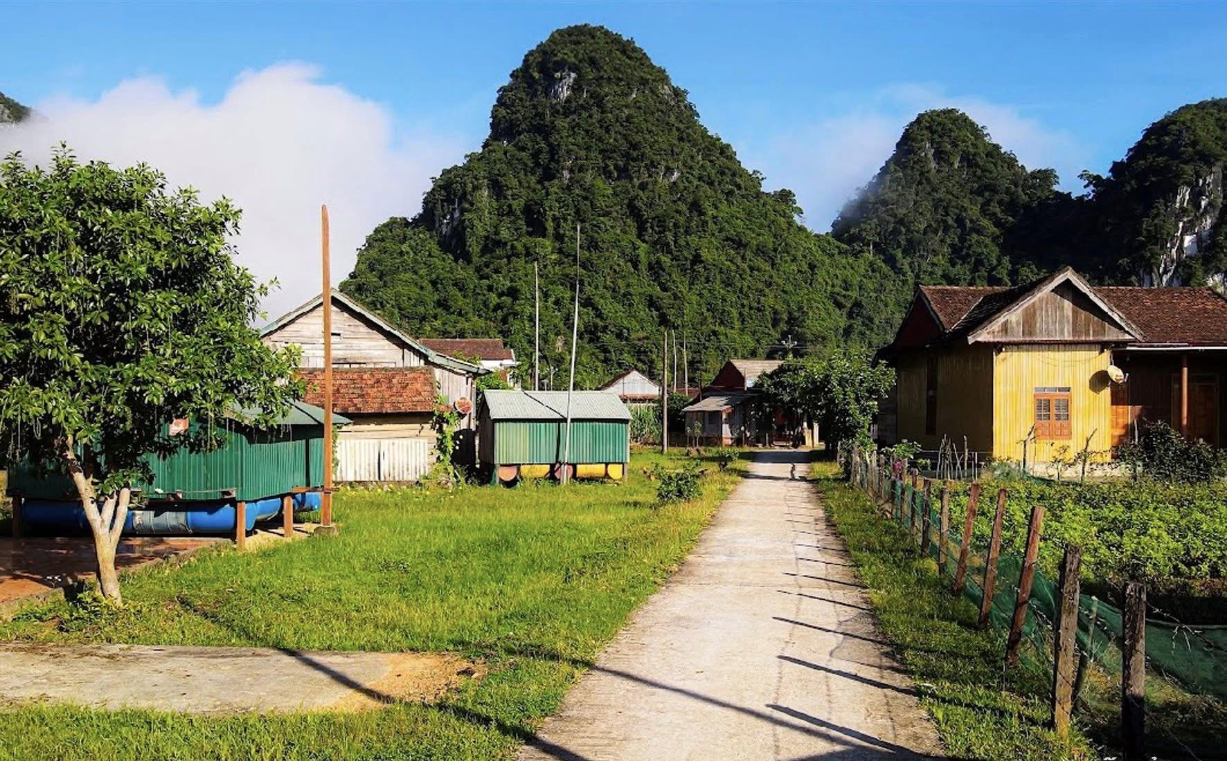 cdong-15_1783673289.jpg