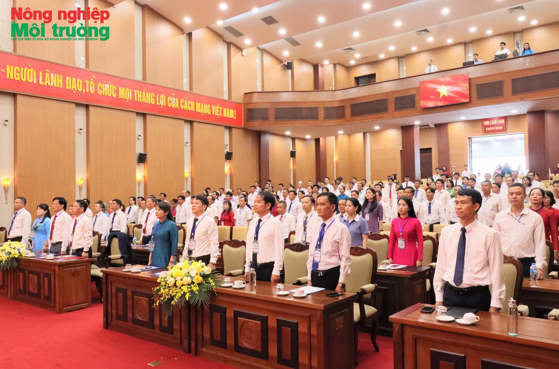 dai-hoi-chao-co_1783690496.jpg