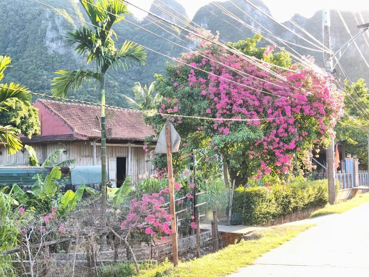 tan-hoa-1_1783673459.jpg