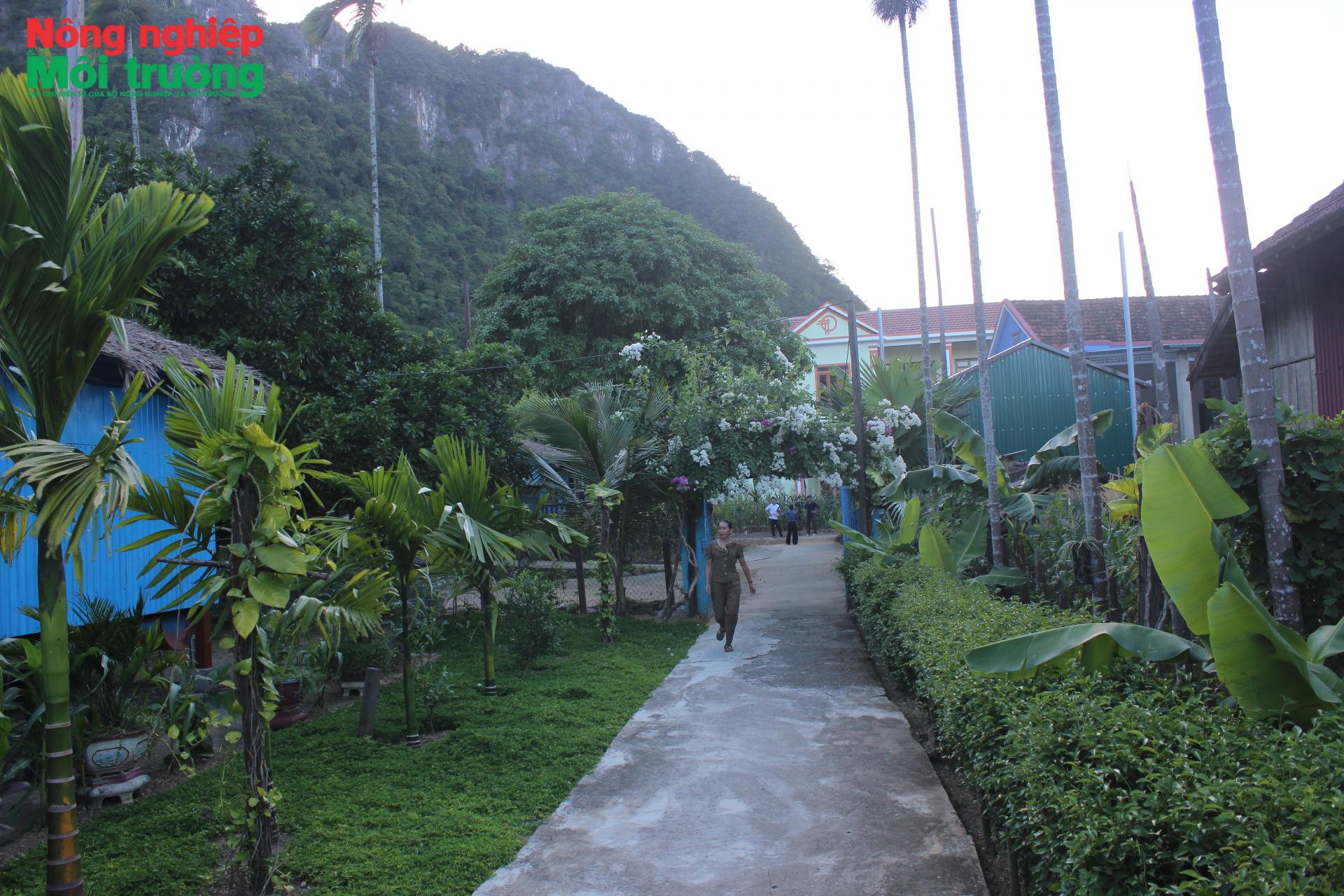 tan-hoa.-2_1783674800.jpg