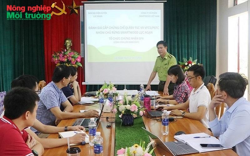 anh-2--trong-rung-fsc_1786299478.jpg